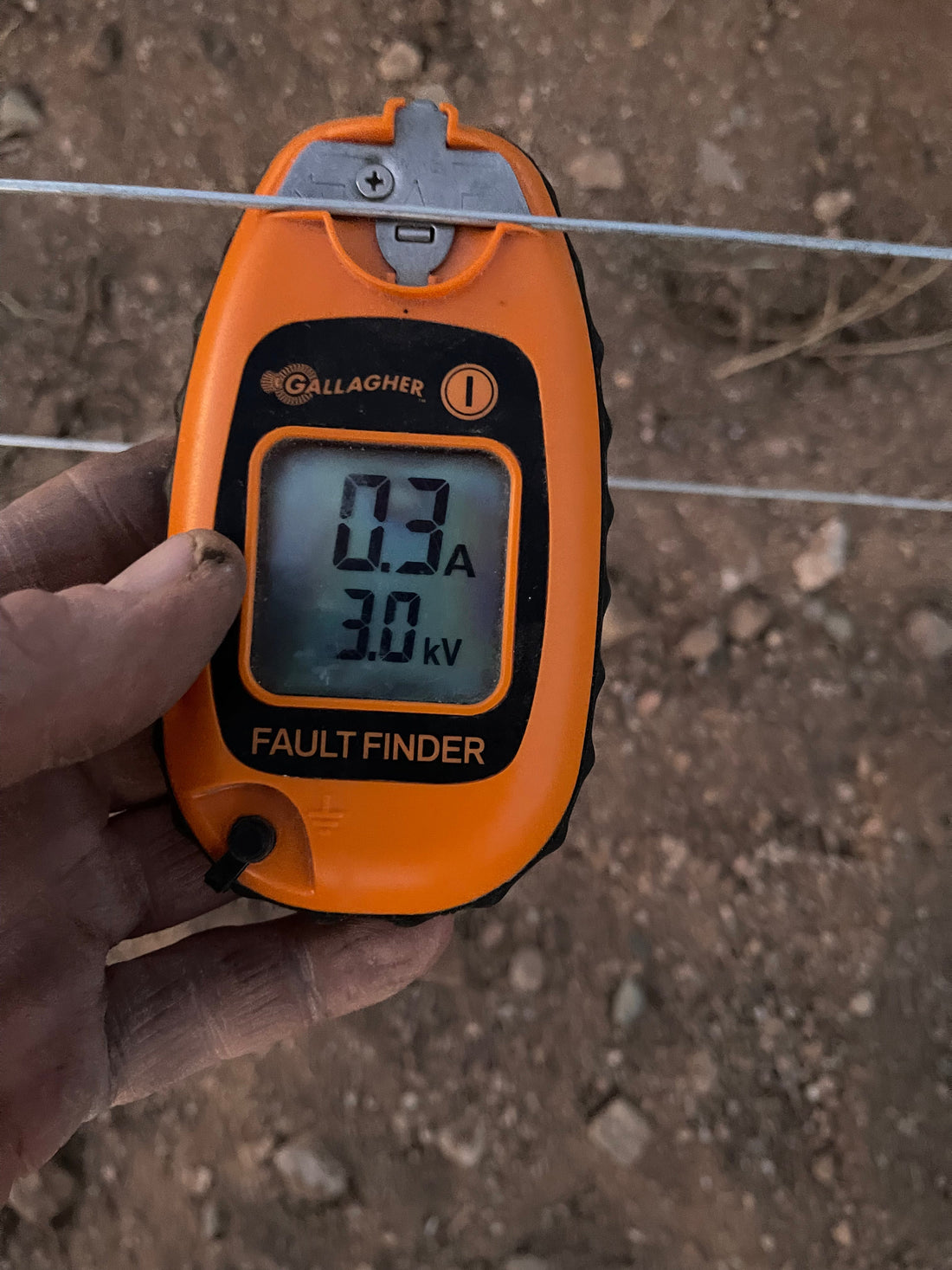 Lessons Learned from Pig Fencing: Containment, Challenges, and Fixes