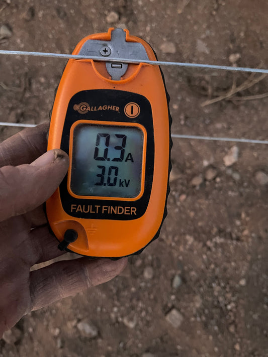 Lessons Learned from Pig Fencing: Containment, Challenges, and Fixes