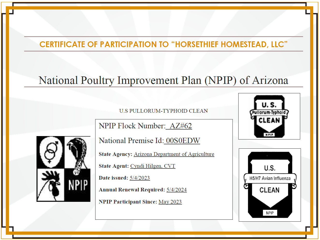 10+ Purebred Buff Brahma Hatching Eggs NPIP/AI Clean